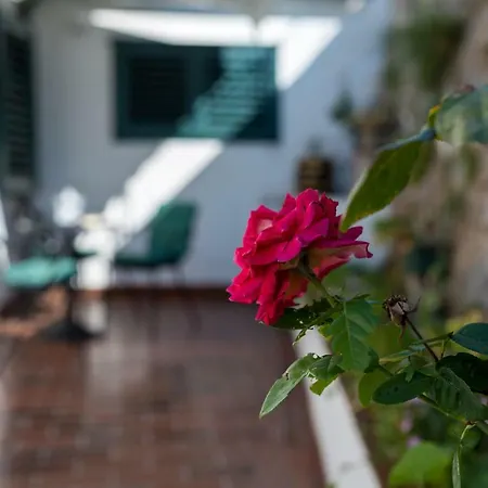 Elin Nyaraló Šibenik