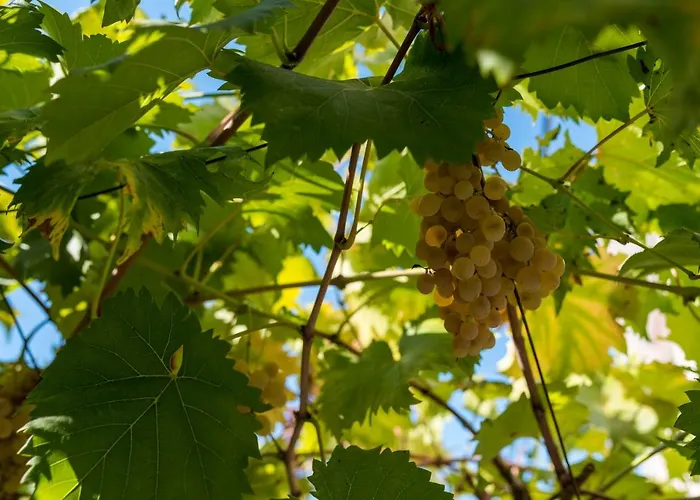 Vikendica Holiday Elin