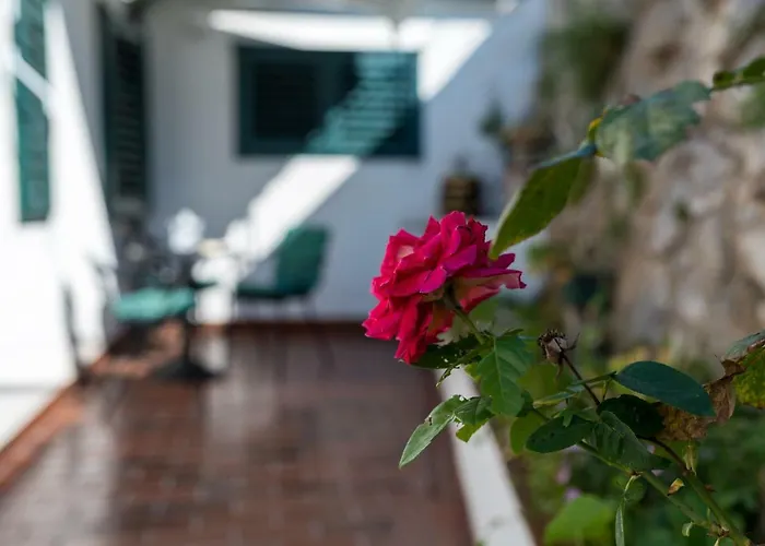 Elin Vakantiehuis Šibenik